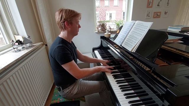 Robert Schumann - Fast zu ernst (Almost too serious) from "Kinderszenen" op.15 no.10 смотреть онлайн