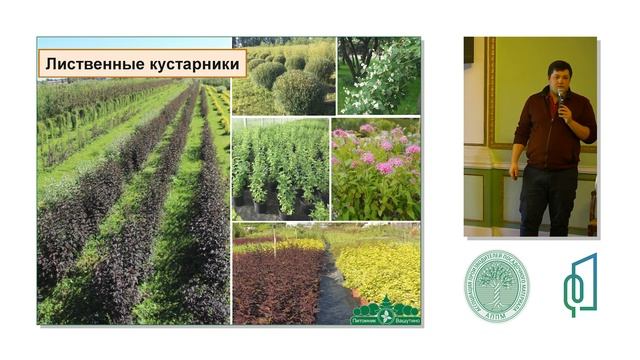 Доклад «Посадочный материал для Санкт Петербурга из Питомника Вашутино. Выращено в Тверской области смотреть онлайн