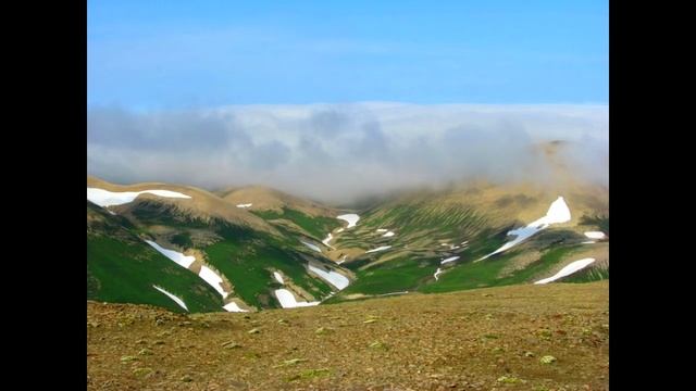Командорские острова! The commander Islands! смотреть онлайн