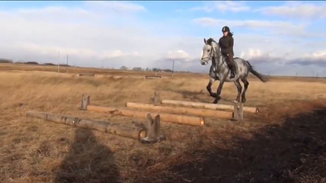 Я и Фаворит смотреть онлайн