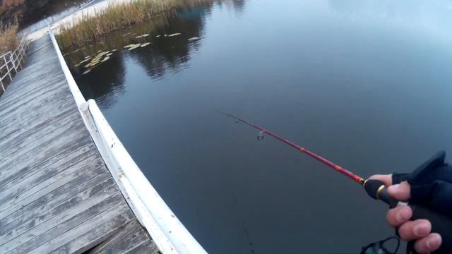 Шнурки на Воблер TsuYoki GERA 130SP смотреть онлайн