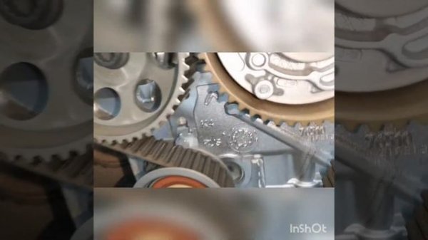 замена ремня ГРМ volkswagen Polo 2018 г. 1,6 MPI