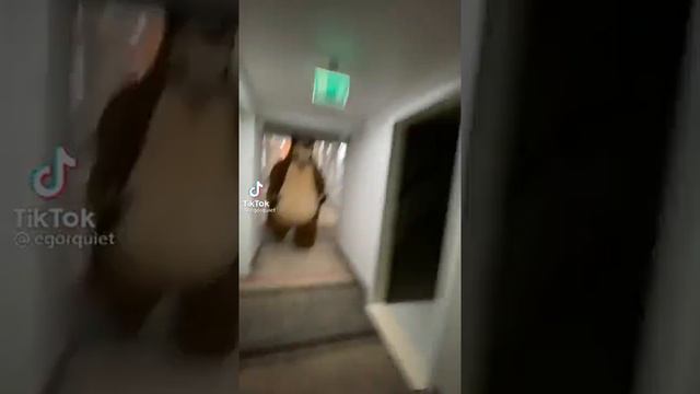 POV: за тобой бежит медведь смотреть онлайн
