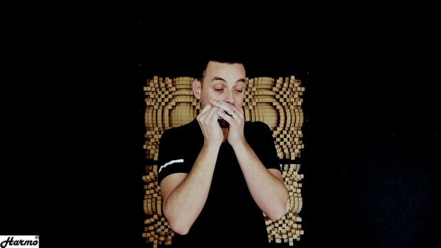Amazing Harmonica Acoustic Live | Harmo Polar Blues Demo || Harmo Harmonicas