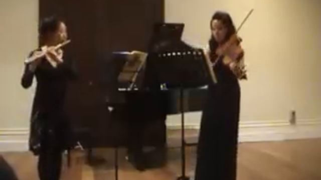 Hoffmeister: Duo Concertante in G major for flute & viola, 1- Allegro смотреть онлайн