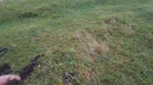 Жирный коп с ТХ-850. Старая деревня не перестаёт удивлять, крупное серебро.