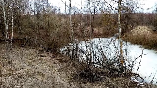 Озеро ПМС, Гомельский район, Гомельская область.Lake PMS, Gomel district, Gomel region. смотреть онлайн