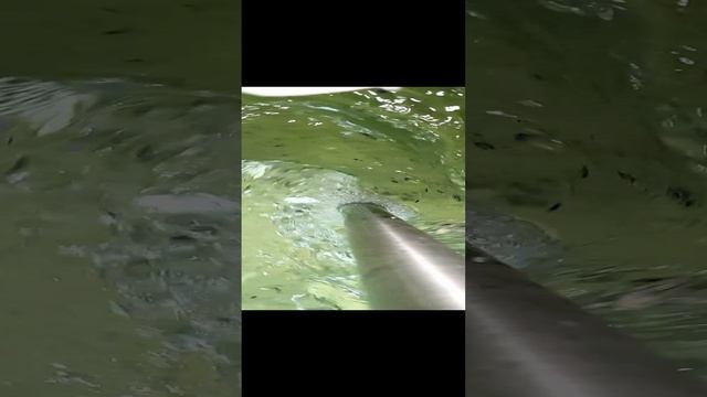 Мешалка для еврокуба двухярустная лопасти и конуса замедленная съемка.mp4 смотреть онлайн