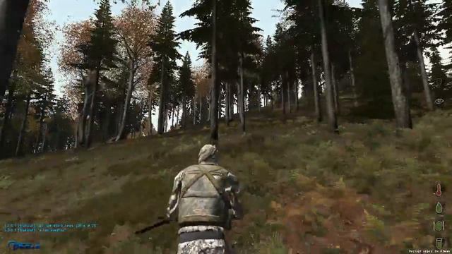 Dayz(3) смотреть онлайн