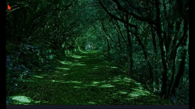 Медитация смотреть онлайн