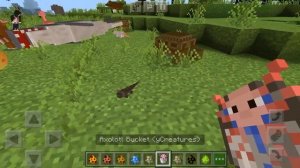 Обзор мода на животных \в Minecraft ПЕ