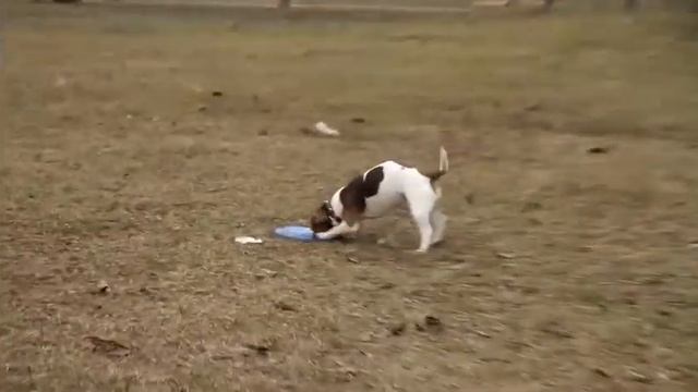 Мастер-класс: как правильно сложить тарелку смотреть онлайн