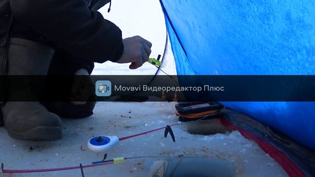 Ловля карася на межуре зимой 2022 смотреть онлайн