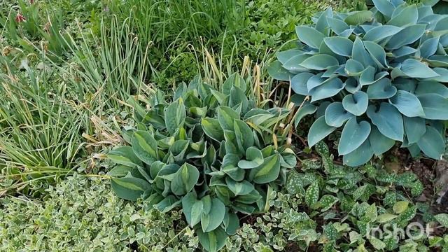 Середина июля. Подведём итоги. смотреть онлайн