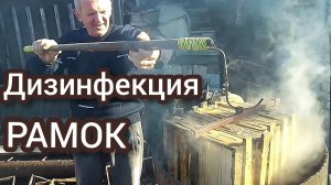 Надёжный метод дизинфекции рамок.