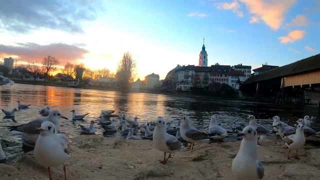 most beautiful evening ? ? ❤️ ? Olten Switzerland смотреть онлайн