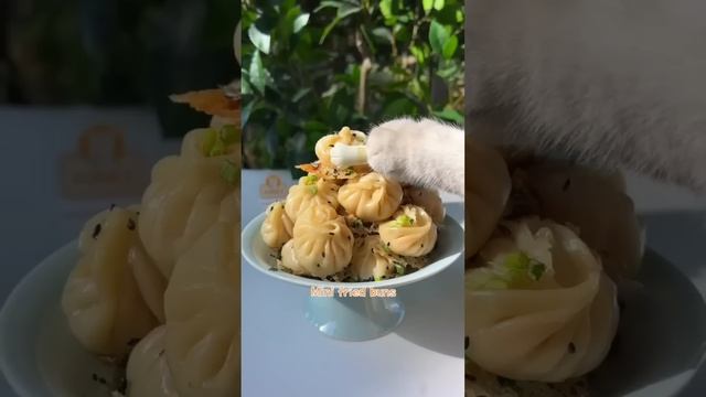 One-Year Collection?: Cat-Chef Makes Beautiful And Fragrant Food|Cat Cooking Food|Cute And Funny Ca смотреть онлайн