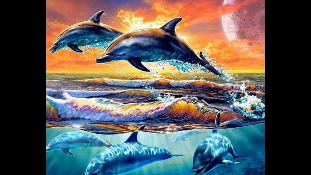Подводный мир дельфинов смотреть онлайн