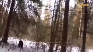 5 СЛУЧАЕВ ЖЕСТИ НА ОХОТЕ, СНЯТЫХ НА ВИДЕО  Жуткие и Страшные Моменты, Снятые на