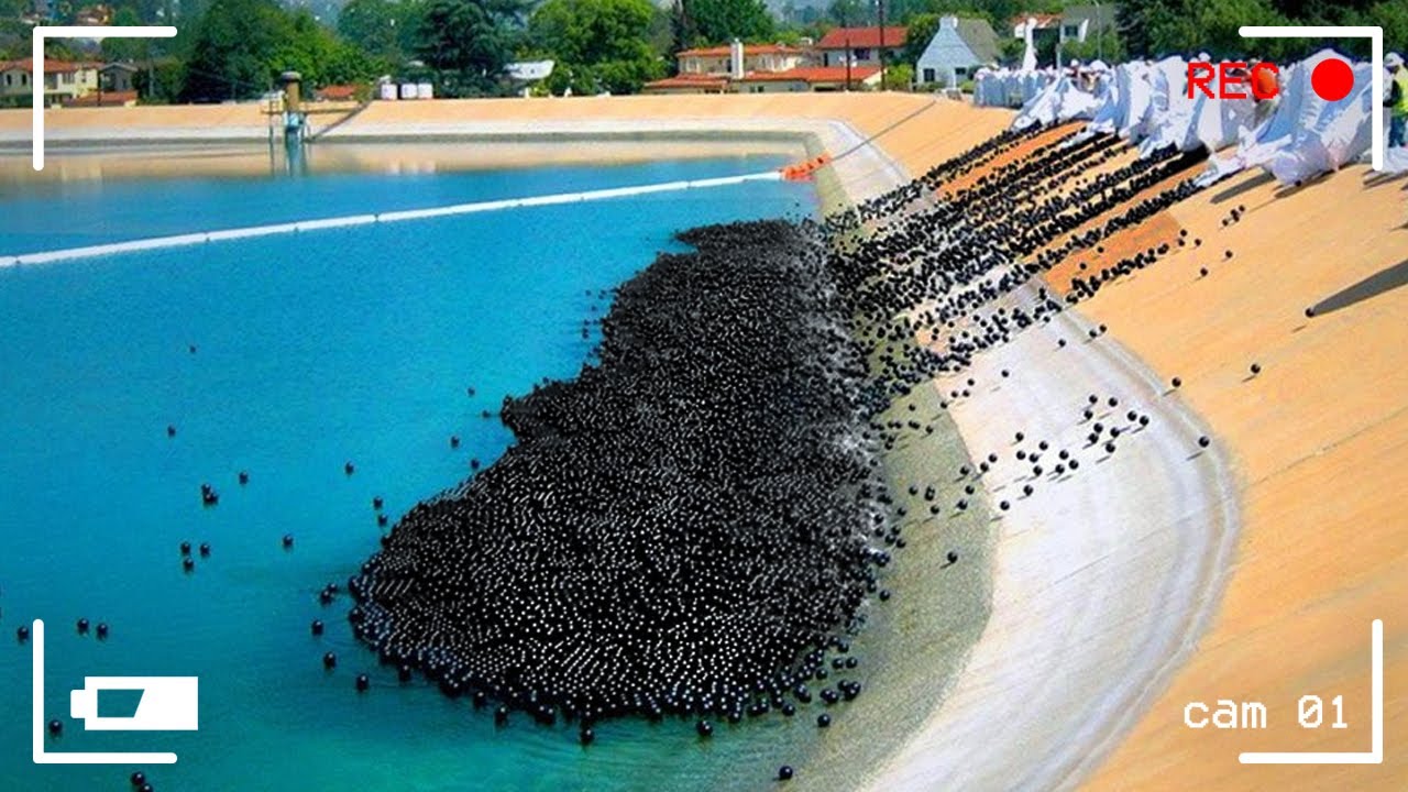 На Камеру Попал Момент, Который Не Может Остаться Незамеченным смотреть онлайн