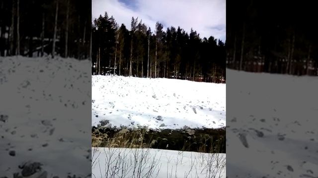 VID 20210222 154540 смотреть онлайн