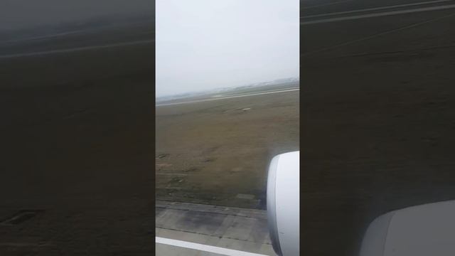 Airbus A330_200   Tunisair Landing Paris Orly Airport (ORY)