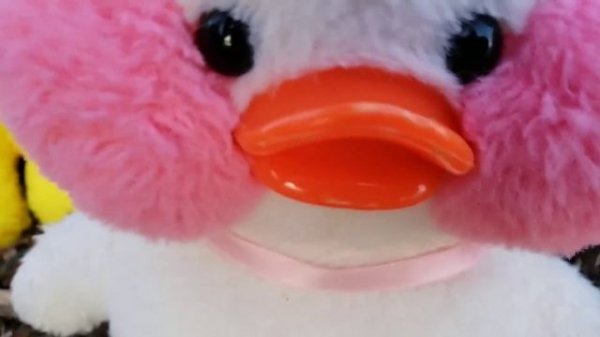 #lalafanfan распаковка посылки для утки #лалафанфан Уточки на необитаемом острове Корабль Duck