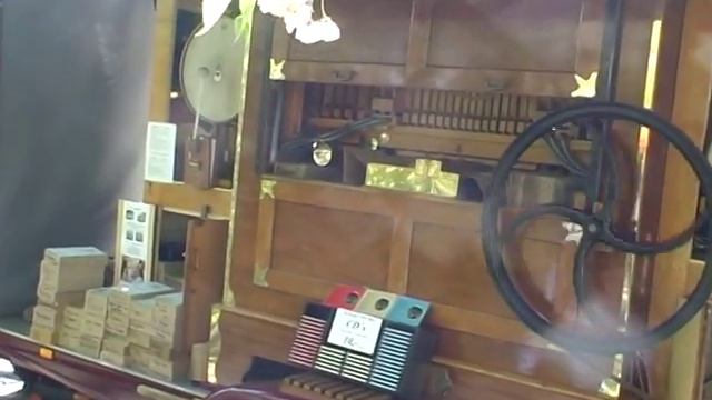 Шарманка в парке тюльпанов Кёкенхоф смотреть онлайн