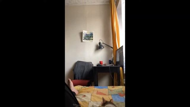 Готовим томатный суп с креветками