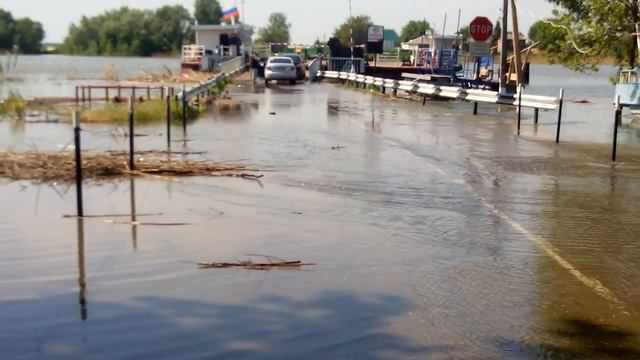 Старочеркасская Дон вышел из берегов затопило дорогу к паромной переправе смотреть онлайн