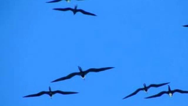 На синем море смотреть онлайн