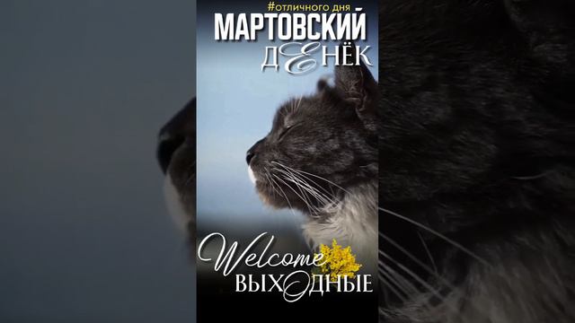 доброе субботнее утро смотреть онлайн