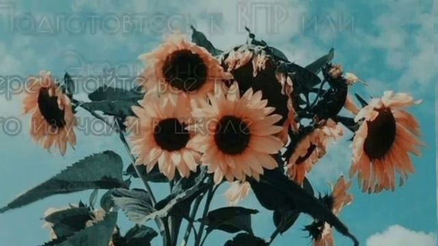 ~Что делать в последний месяц лета?~ •1 часть.• |Просто Камень| смотреть онлайн