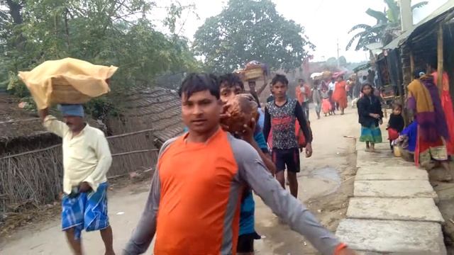 Cheat git shripur смотреть онлайн