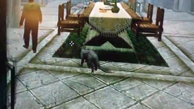 Skyrim-Hearthfire Kid Adopts a Pet Skeever смотреть онлайн
