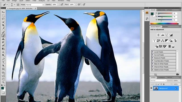 #5 Photoshop CS5 - Basic Navigation смотреть онлайн