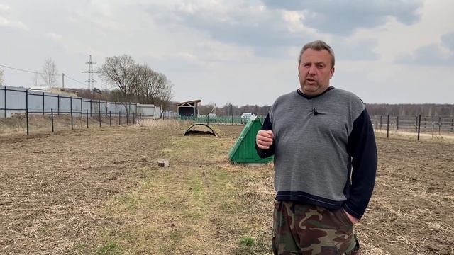 РАЗВЕДЕНИЕ СВИНЕЙ В ВОЛЬЕРЕ смотреть онлайн