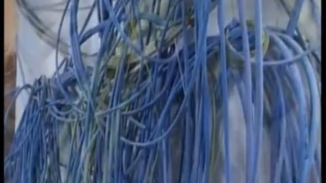 Villa Torlonia, Restauri