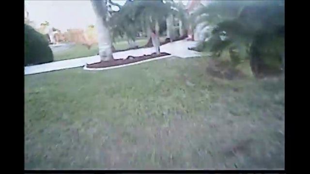 Reggae Shark FPV смотреть онлайн