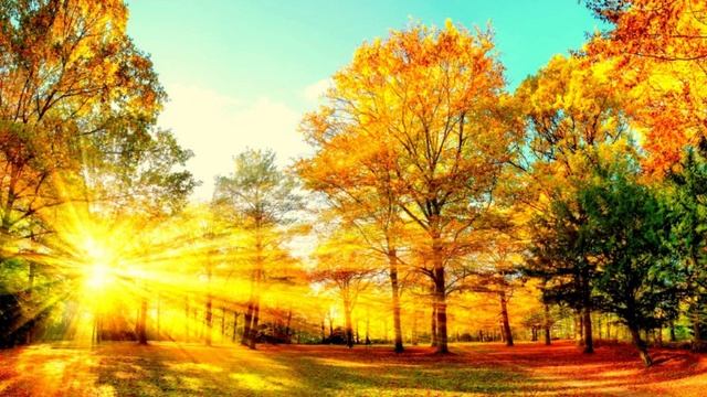 Дыхание Вселенной. Практика, как научиться чувствовать разницу между Духом и Душой.