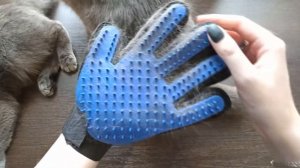 AliExpress. Перчатка для вычесывания шерсти кошки/собаки