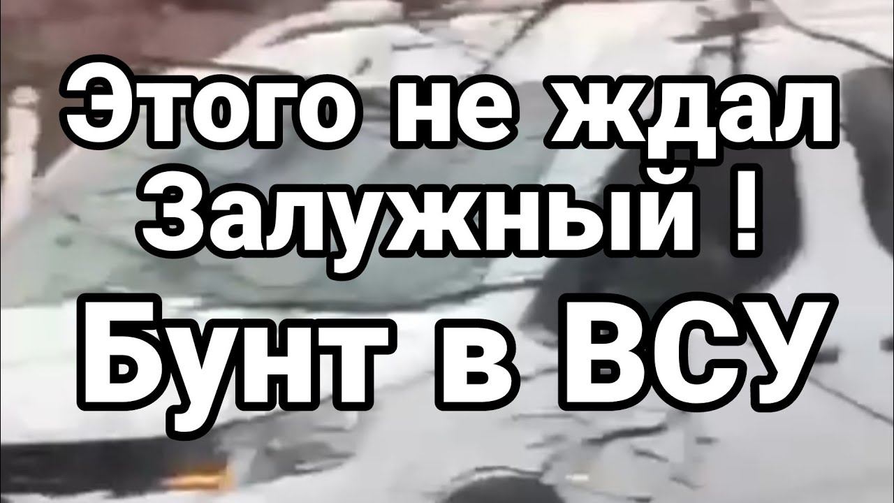 Этого НЕ 0ЖИДАЛ ЗАЛУЖНЫЙ ВСУ ПР0ТИВ!
