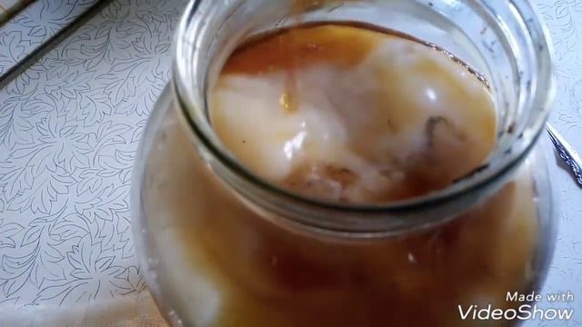 ЧАЙНЫЙ ГРИБ / ПЬЁМ И ЛЕЧИМСЯ смотреть онлайн