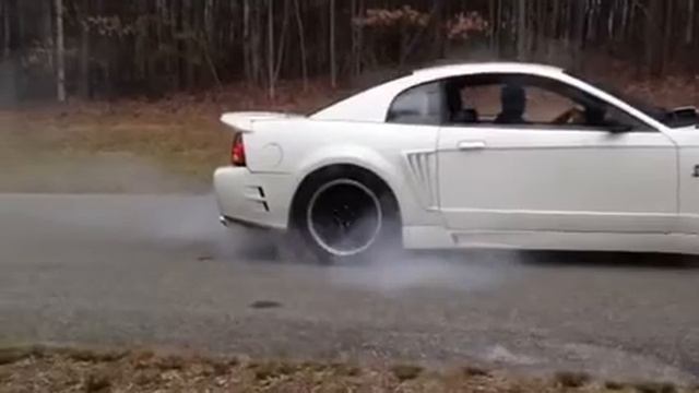 99 Cobra Burnout смотреть онлайн