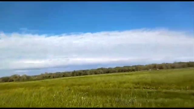 Проверка новых сенокосных орудий. Роторная косилка "Лисински" смотреть онлайн