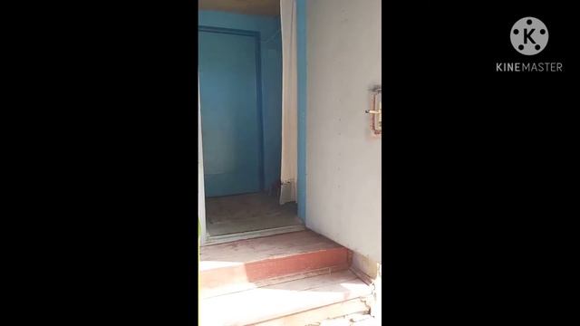 Продаю дом в Кировском районе . Остановка Лавровая. смотреть онлайн