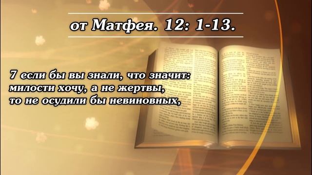 И спросили Иисуса, чтобы обвинить Его: можно ли исцелять в субботы? | Библия | от Матфея. / Cover смотреть онлайн