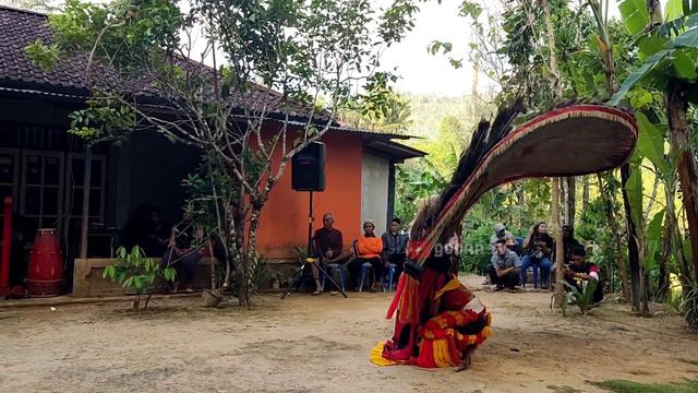 ANDRI DAVID NGATASI POKOK E #reogindonesia #reogponorogo #wonogiri #solo #jawatengah #reogsolo смотреть онлайн