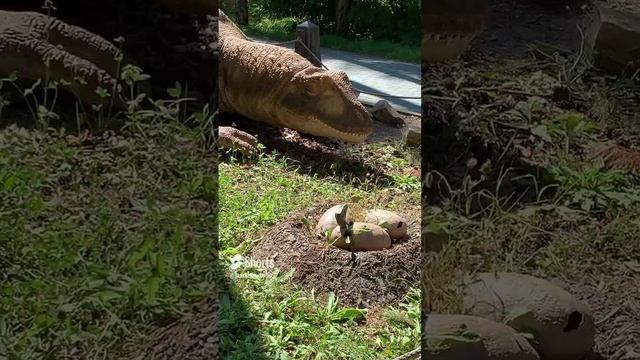 Динопарк?#shorts