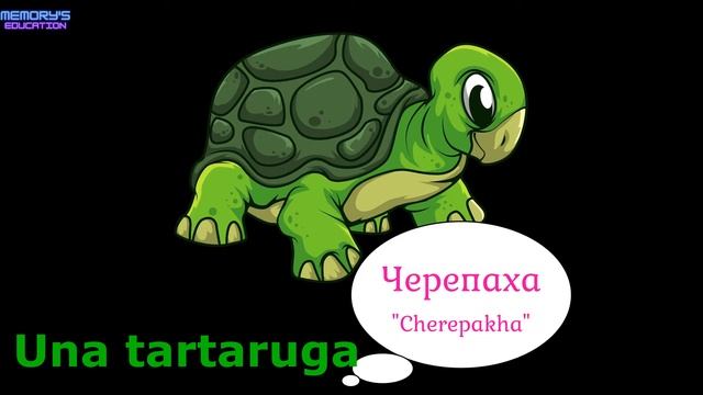 ANIMALI DOMESTICI in Russo / ДОМАШНИЕ ЖИВОТНЫЕ на итальянском языке смотреть онлайн